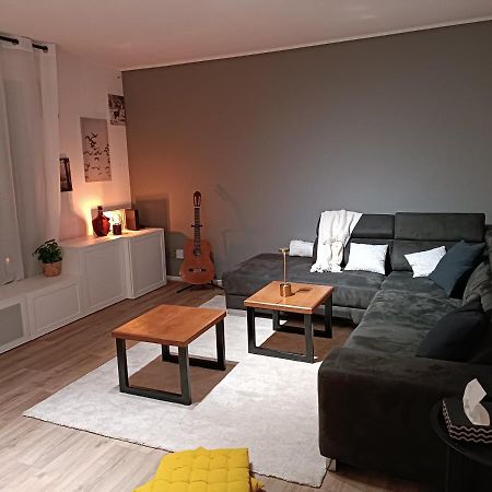 Stylish 1-Bedroom Flat With Beautiful Terrace , For A Cosy Retreat Страсбург Екстериор снимка