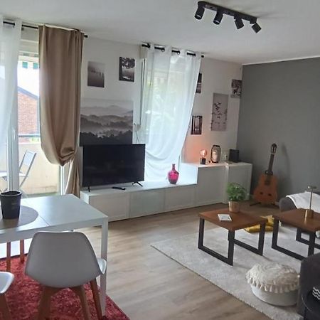 Stylish 1-Bedroom Flat With Beautiful Terrace , For A Cosy Retreat Страсбург Екстериор снимка