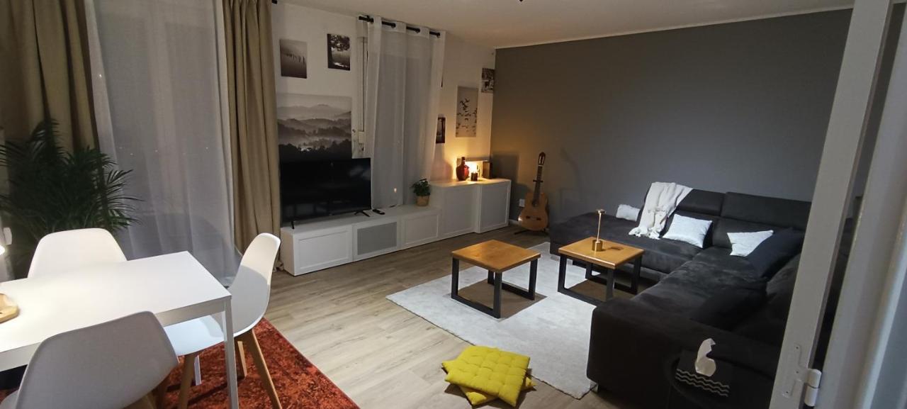 Stylish 1-Bedroom Flat With Beautiful Terrace , For A Cosy Retreat Страсбург Екстериор снимка